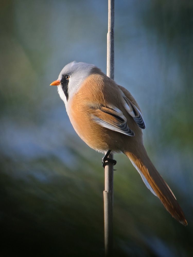 Photograph by Оксана Маховская
