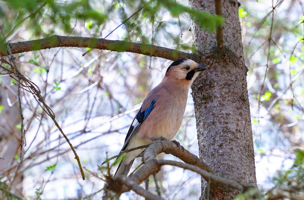 Photograph by Андрей Потапов