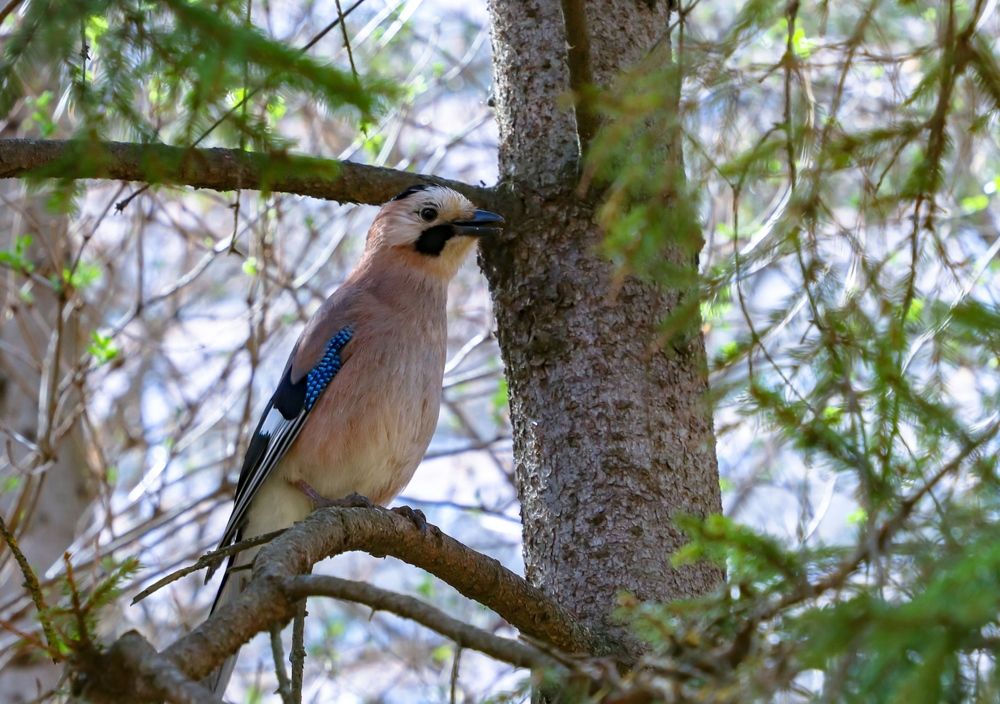 Photograph by Андрей Потапов