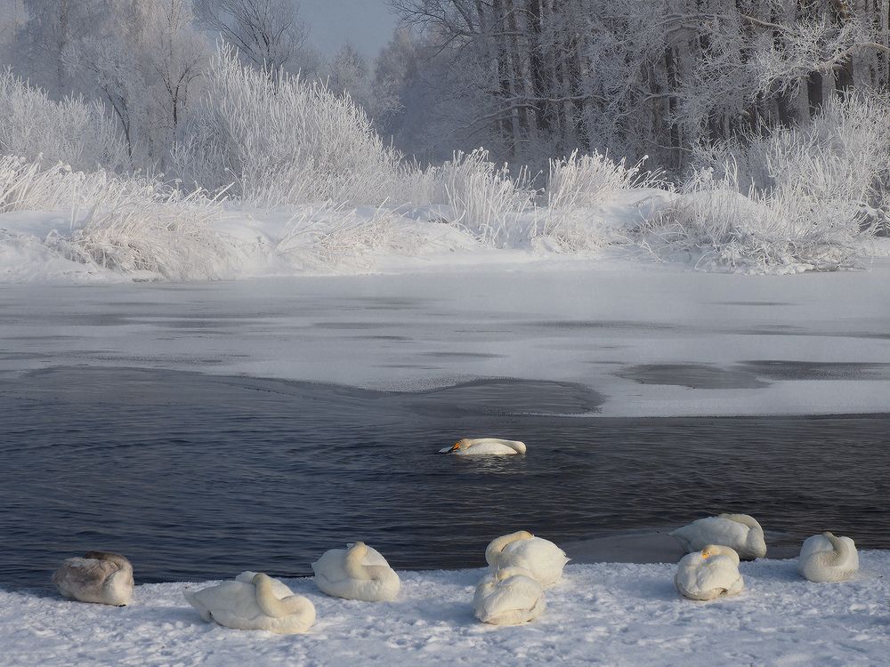 Photograph by Галина Хвостенко