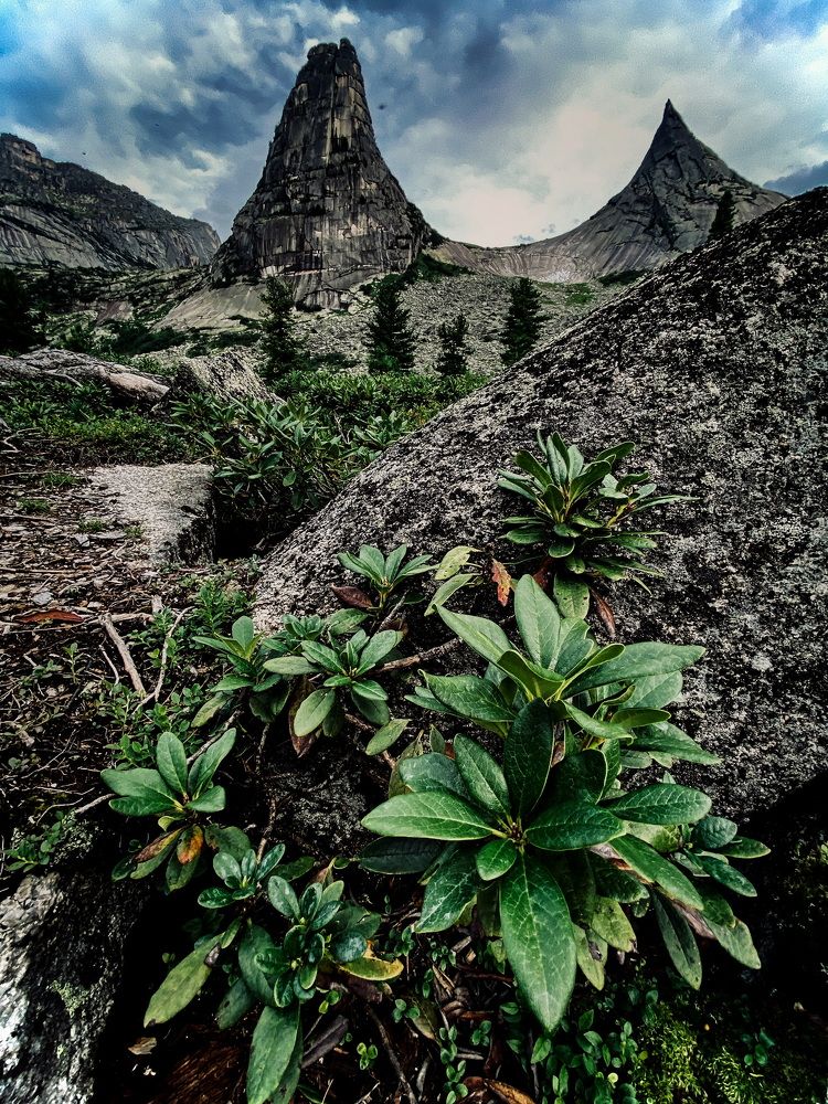 Photograph by Могилевич Elena