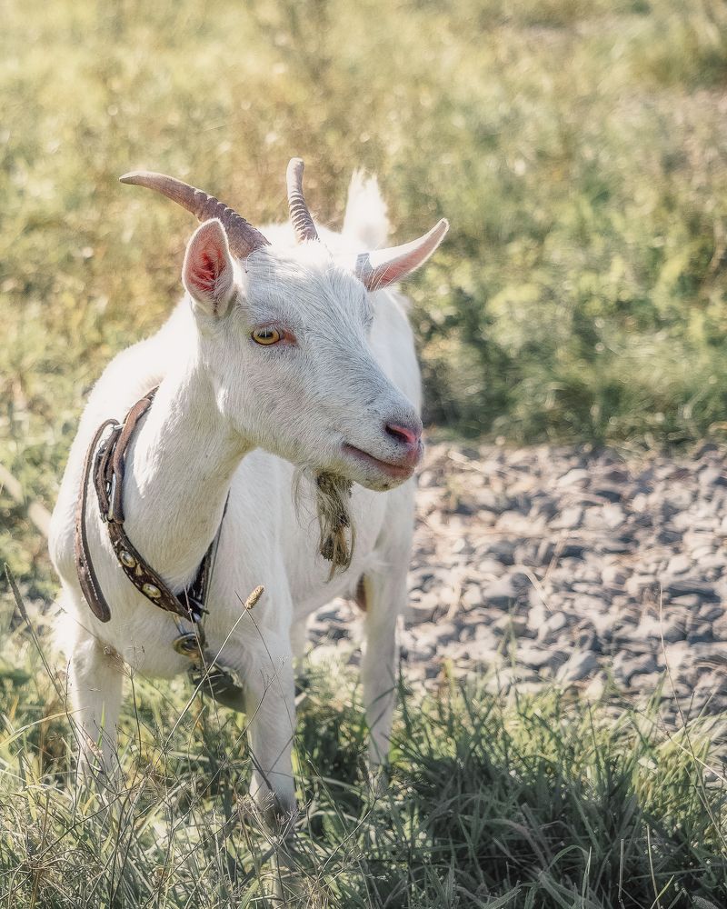 Photograph by Дмитрий Поварков