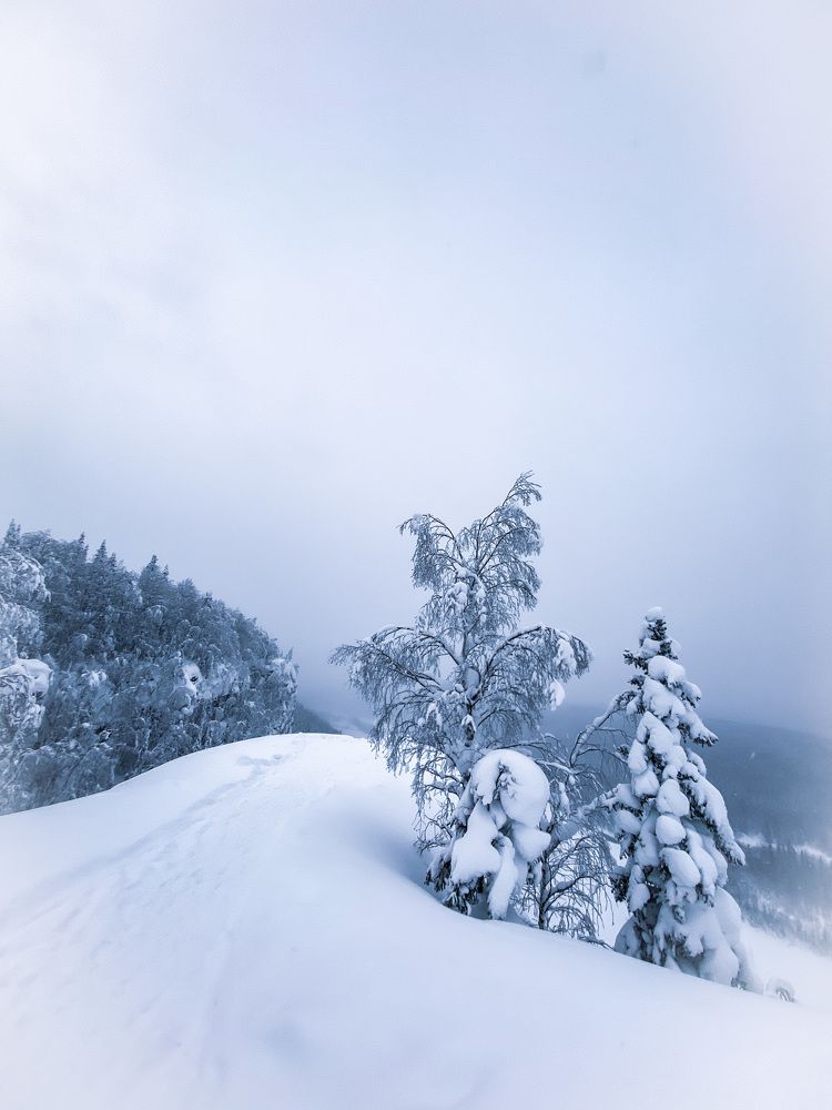 Photograph by Могилевич Elena