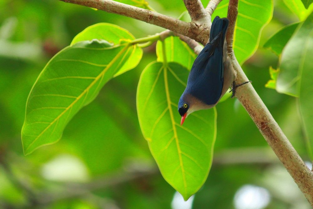 Photograph by Venkatesh Ramanujam