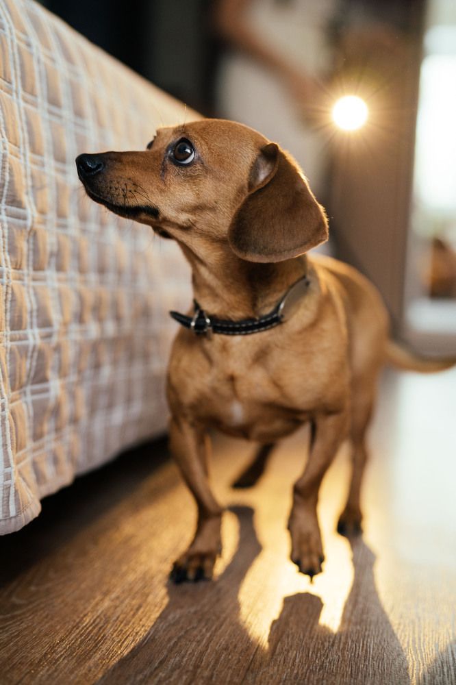 Photograph by Елена Молодзяновская