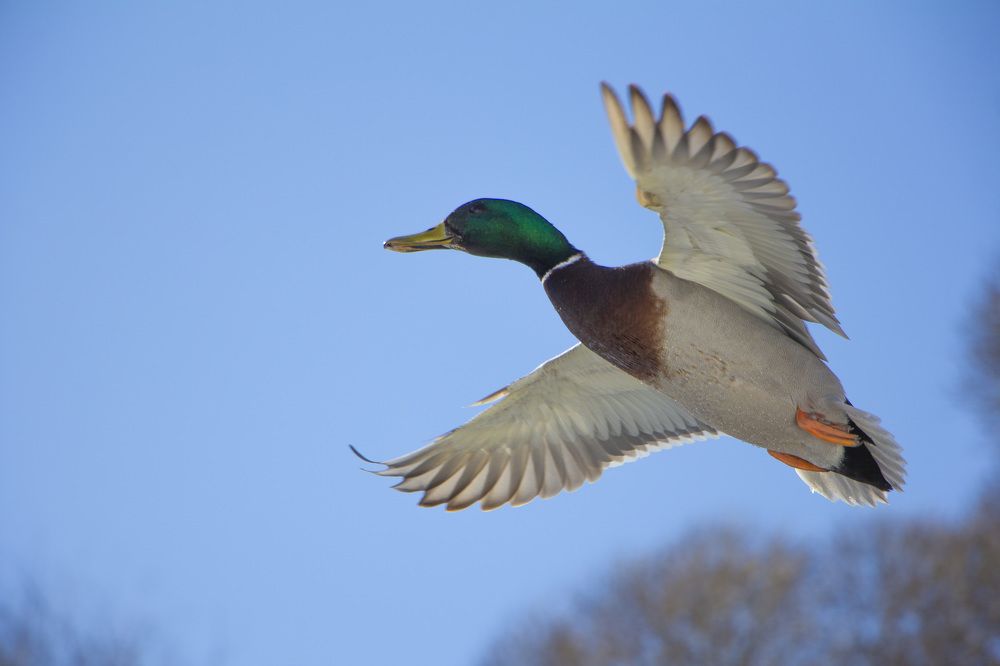 Photograph by Анастасия Северюхина