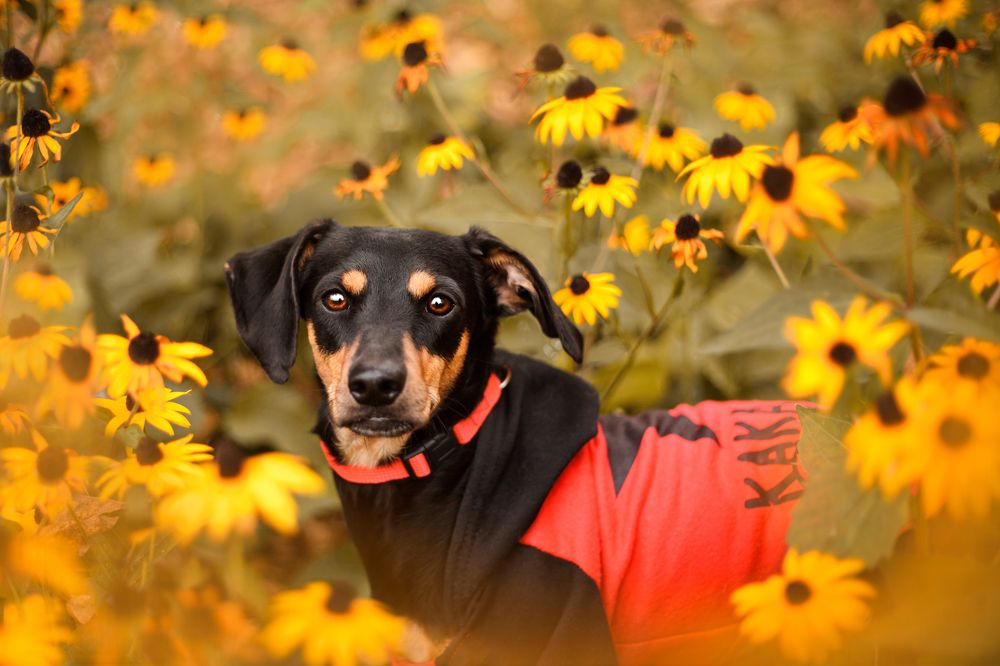 Photograph by Татьяна Степанова