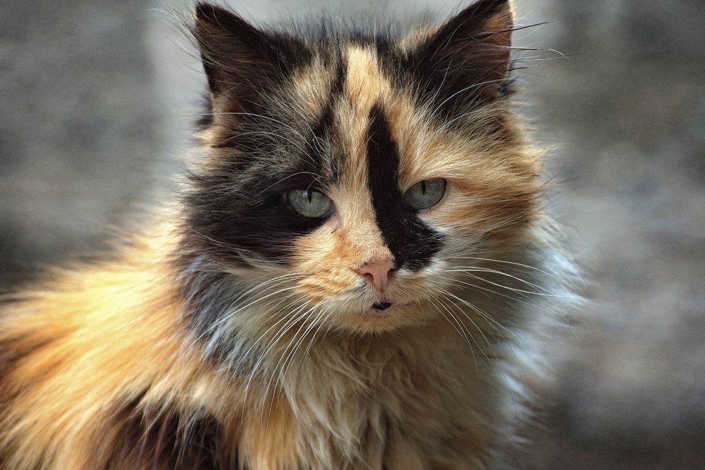 Photograph by АНДРЕЙ Роев