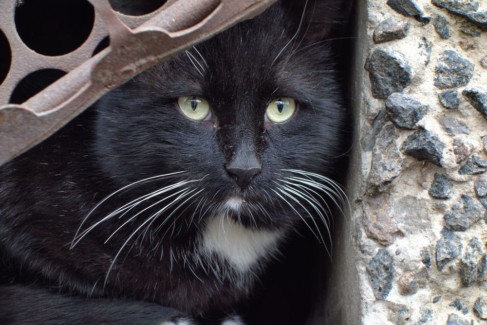 Photograph by АНДРЕЙ Роев