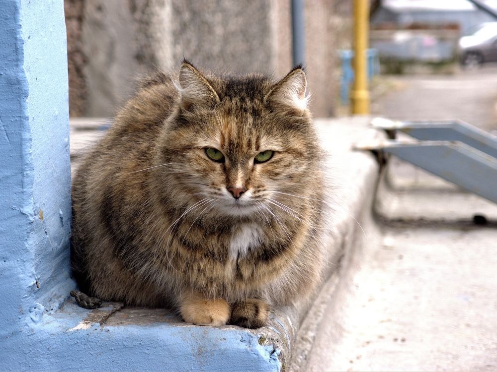 Photograph by АНДРЕЙ Роев