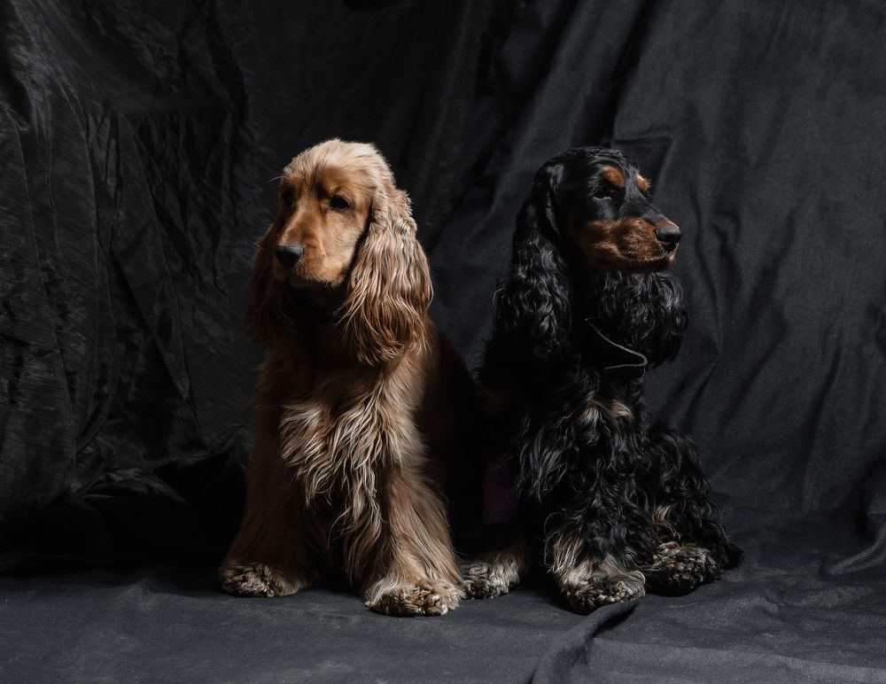 Photograph by Егор Круглов