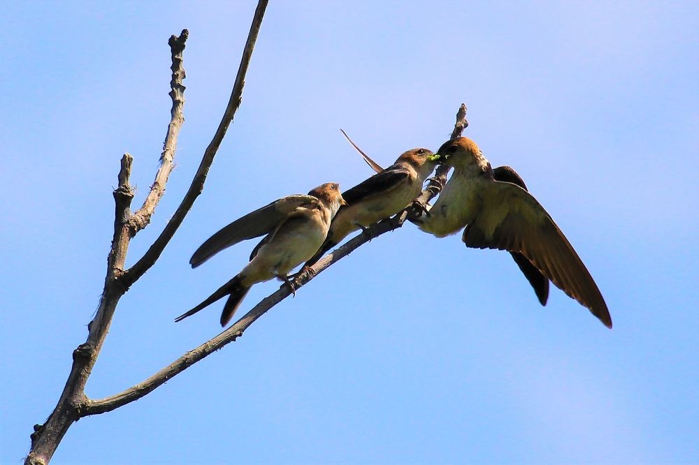 Photograph by Sharir Daniel