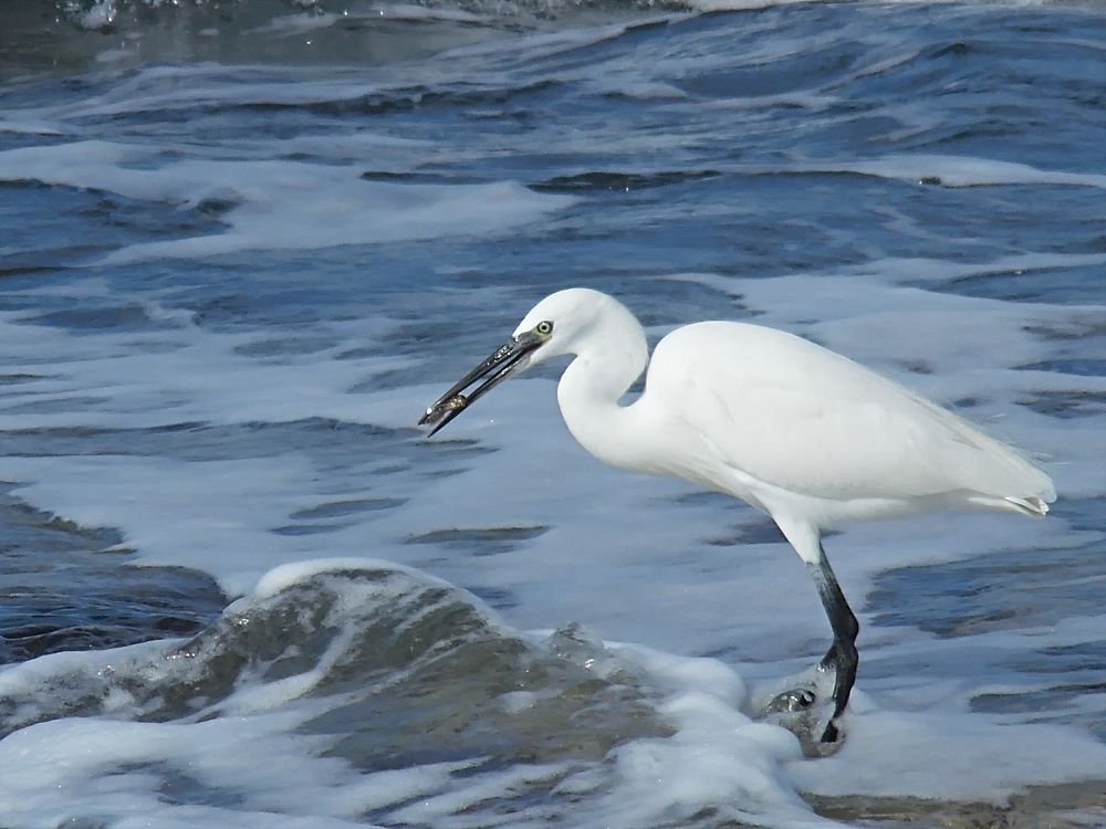 Photograph by Sharir Daniel