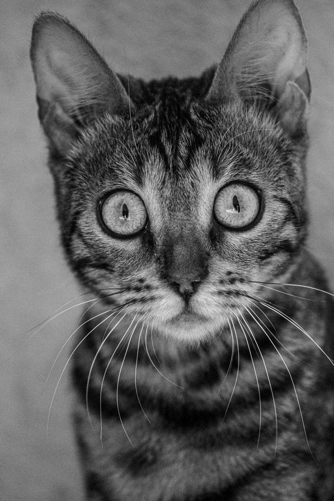 Photograph by Anna Zhovner