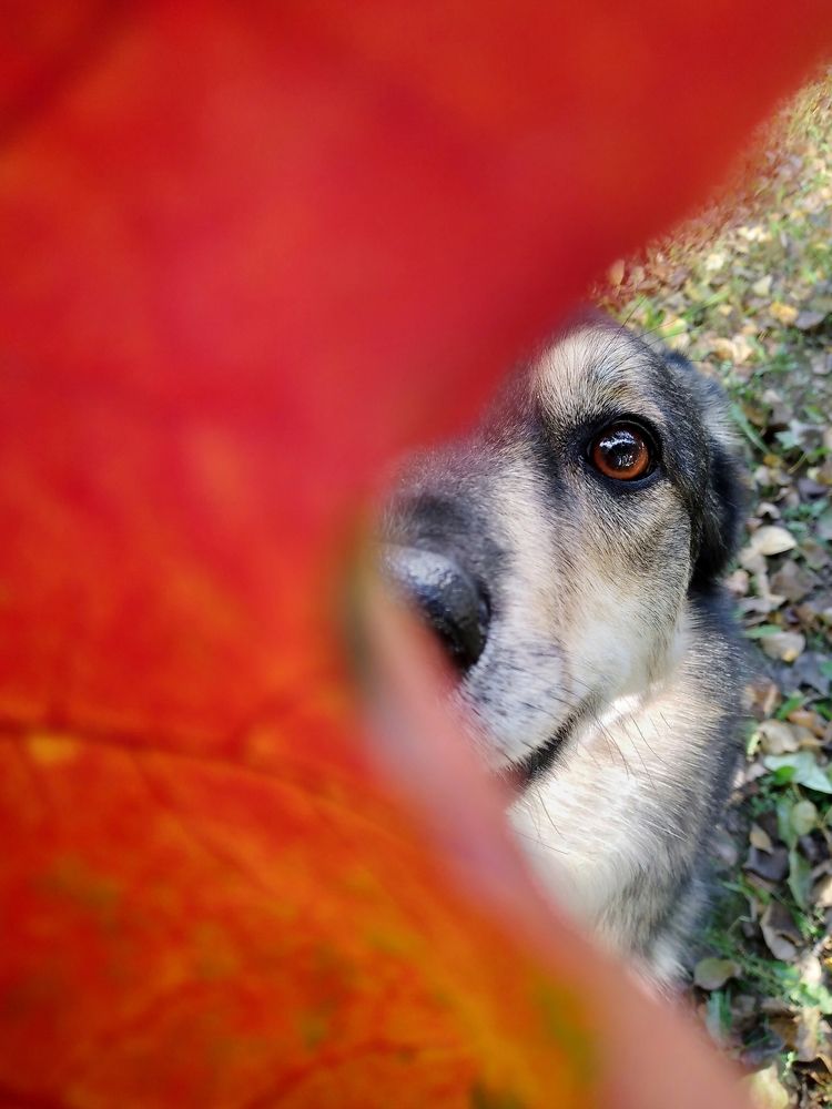 Photograph by Татьяна Степанова