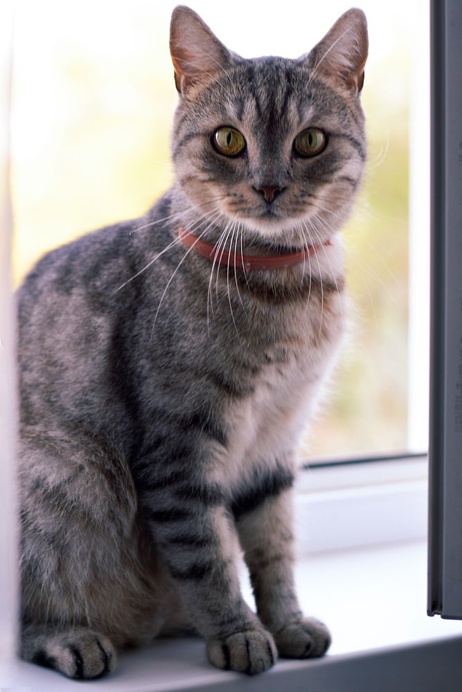 Photograph by Ирина Ри