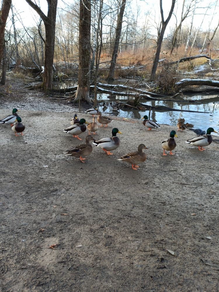 Photograph by Светлана Барабанова