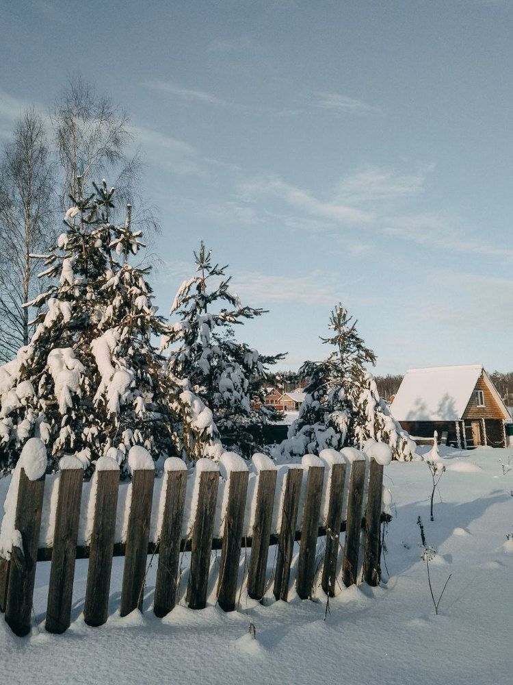 Photograph by Anna Zhovner