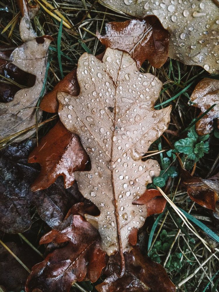 Photograph by Anna Zhovner