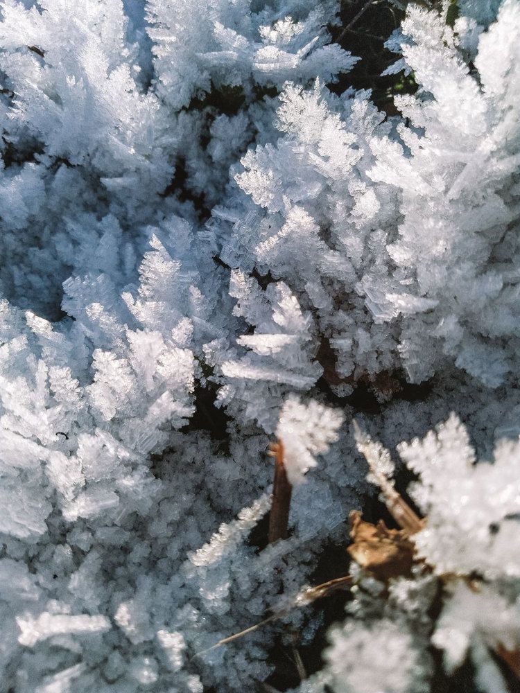 Photograph by Anna Zhovner