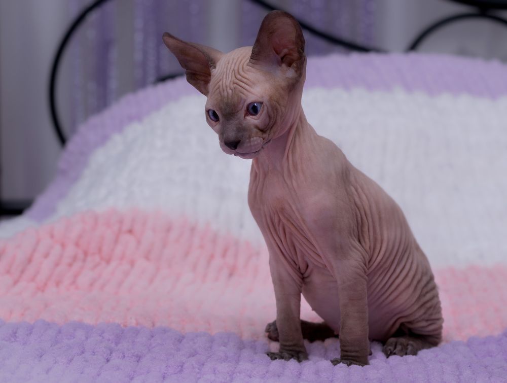 Photograph by Прохоров Денис