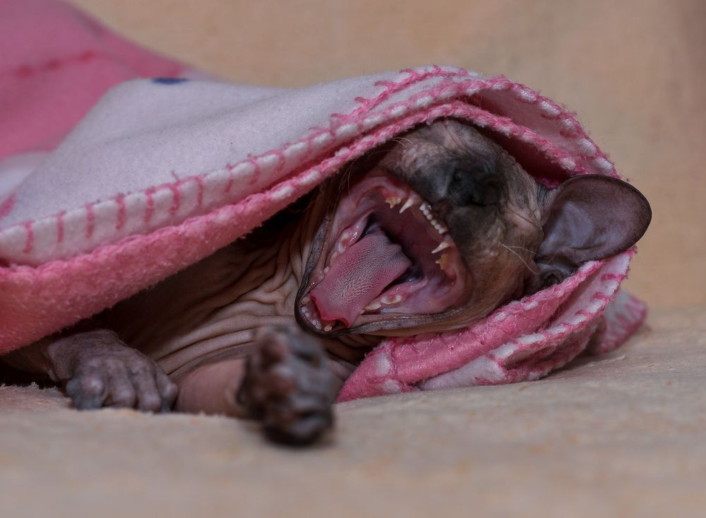 Photograph by Прохоров Денис