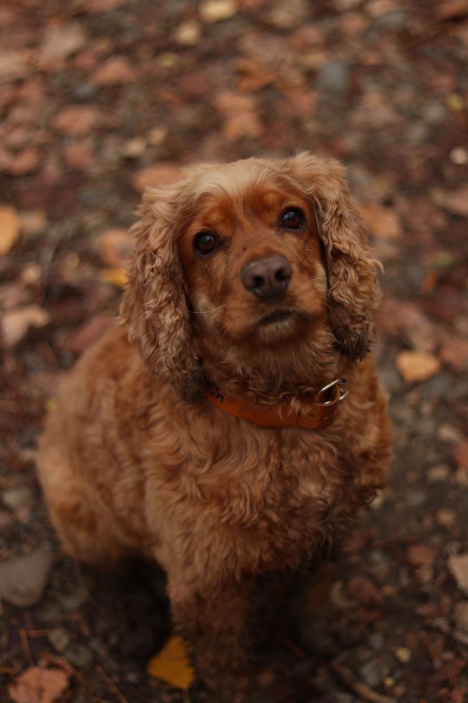 Photograph by Анастасия Слободская