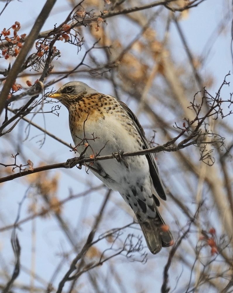 Photograph by Высотских Владимир