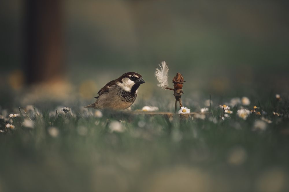 Photograph by Sara Pinotti