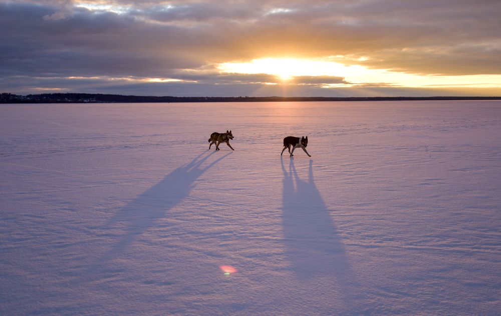 Photograph by Катя Катюнина