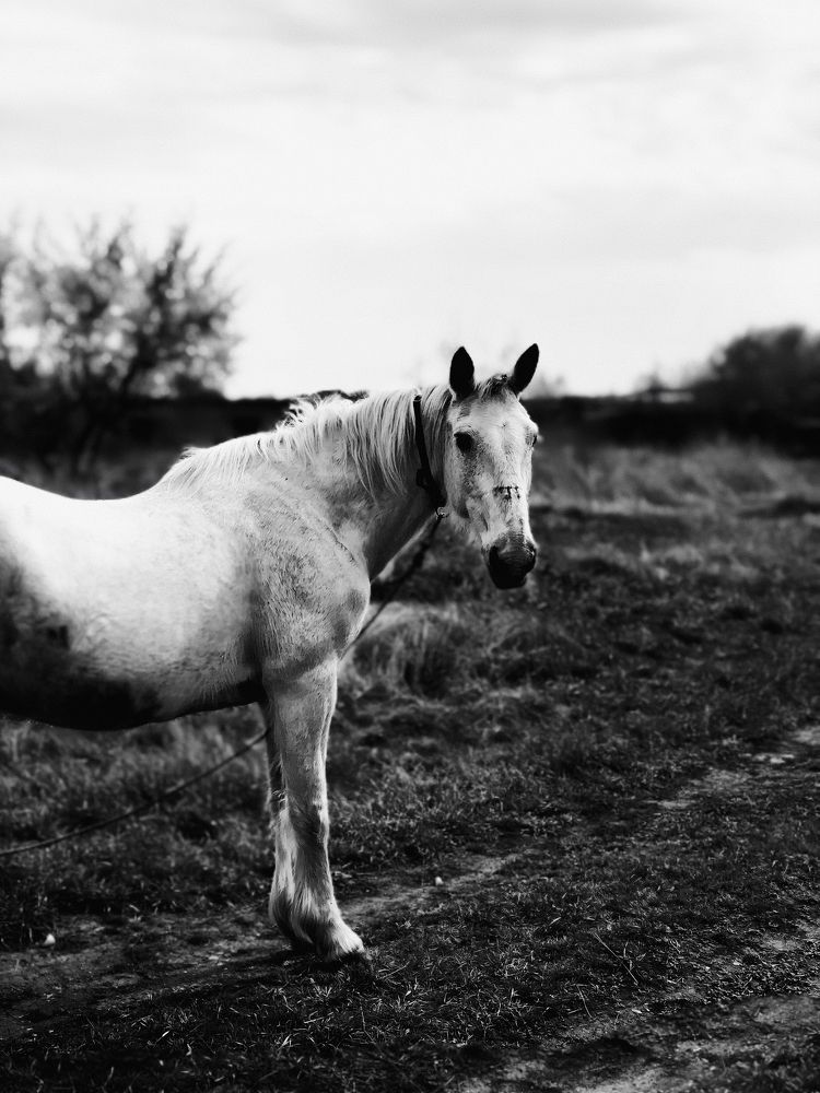 Photograph by Андрей Киреев