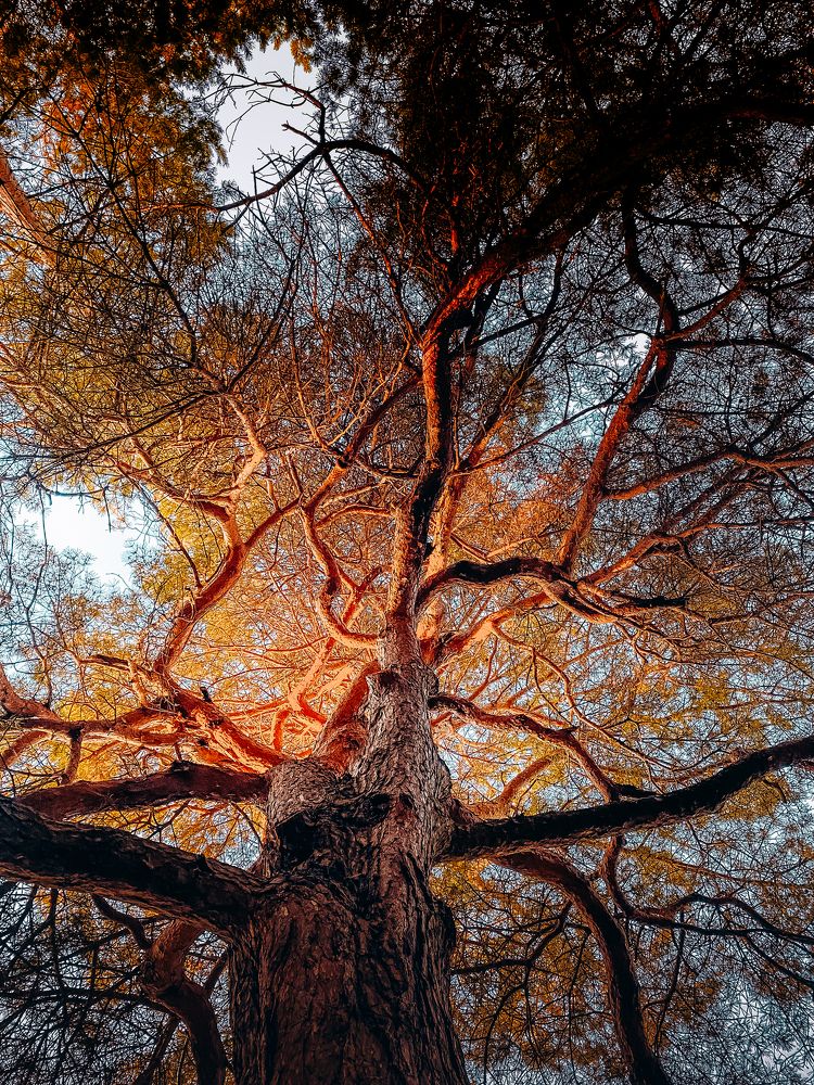 Photograph by Марат Болатханов