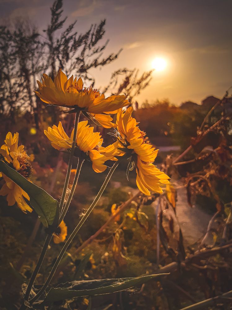 Photograph by Марина Шаповаленко