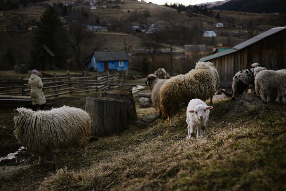 Photograph by Анастасия Маротчак