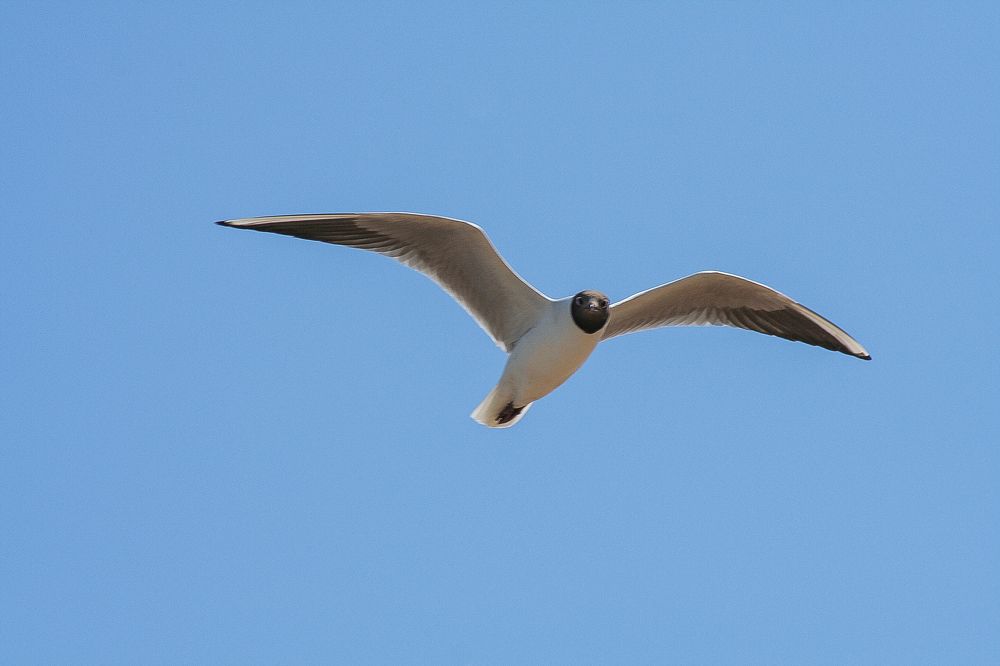 Photograph by Алексей Трифонов