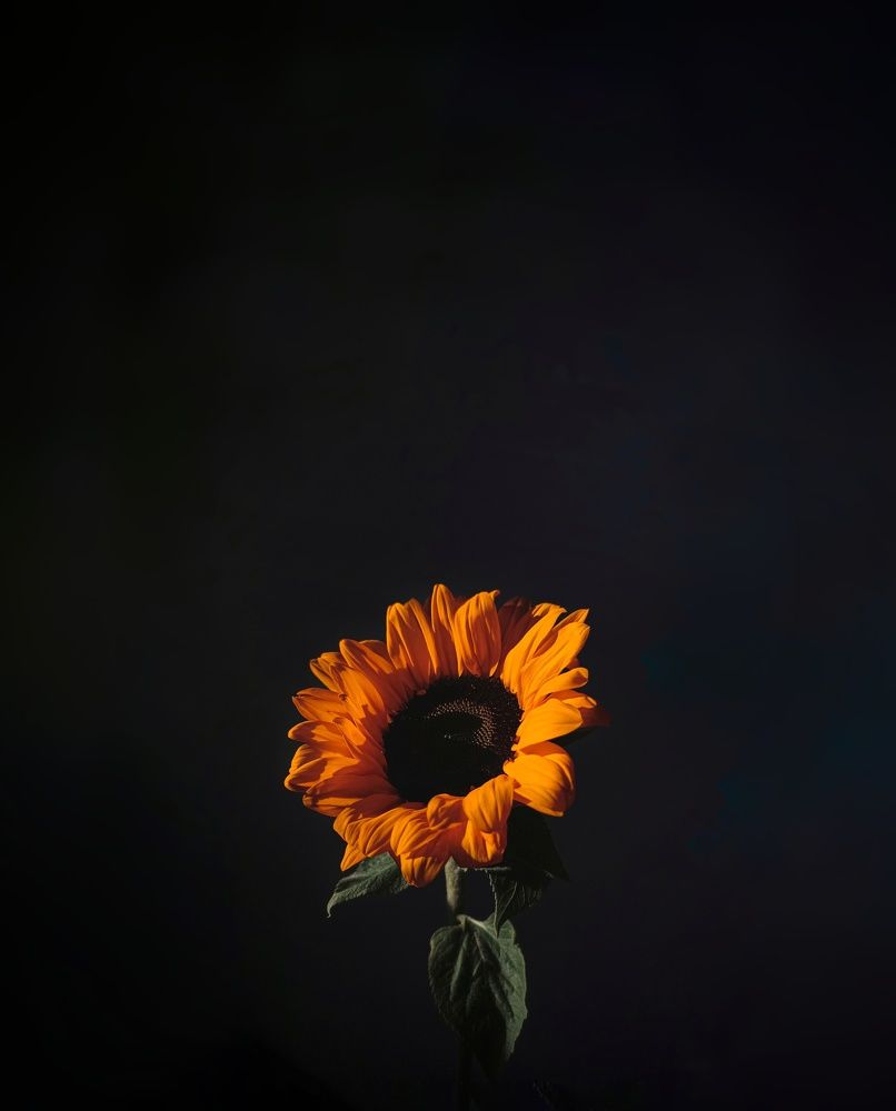 Photograph by Ирина Кочергина