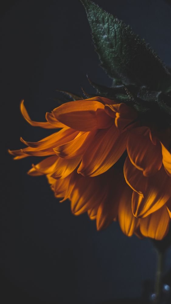 Photograph by Ирина Кочергина