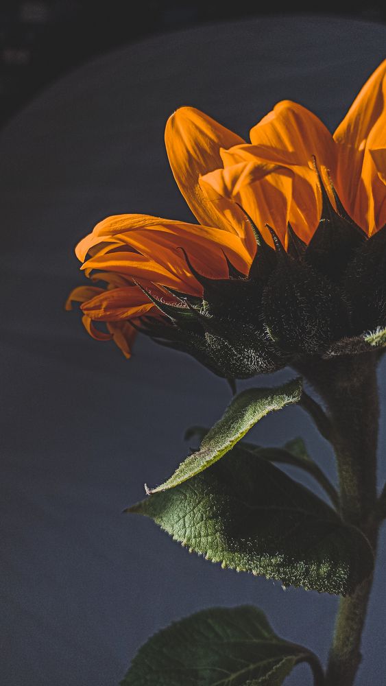 Photograph by Ирина Кочергина