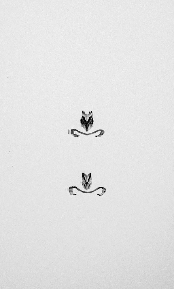 Фотография автора Sajeev Krishnan