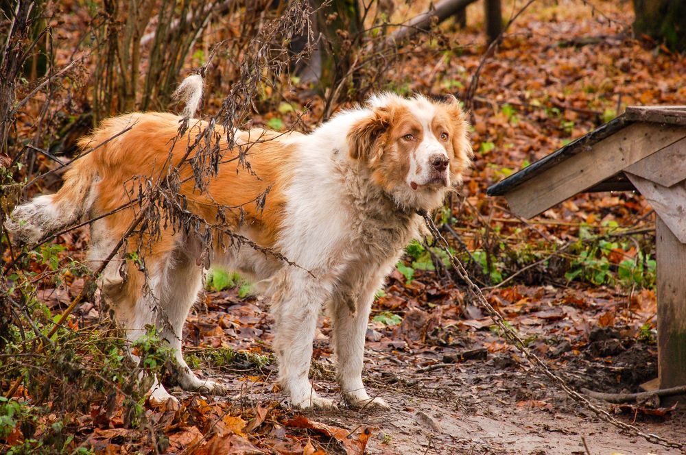 Photograph by Катя Катюнина