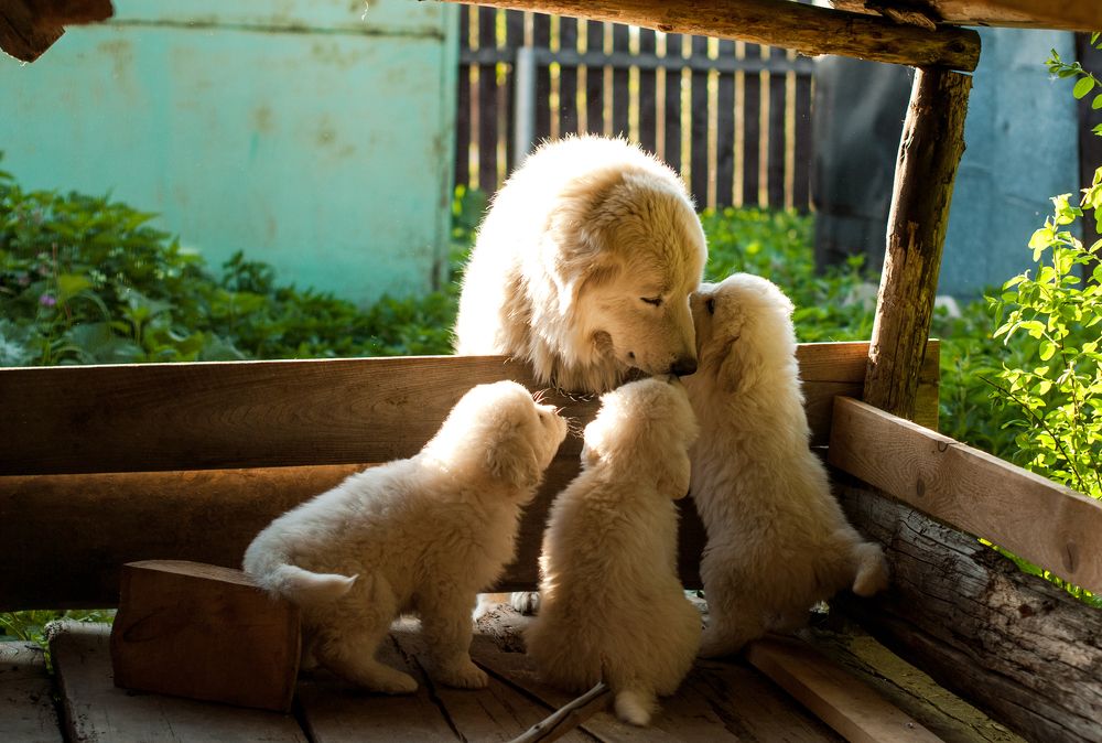 Photograph by Катя Катюнина