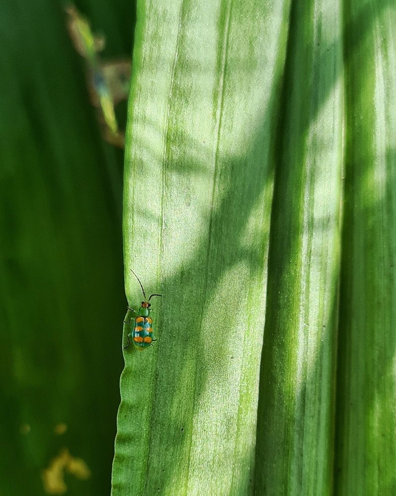 Фотография автора Wilson Mendes fh