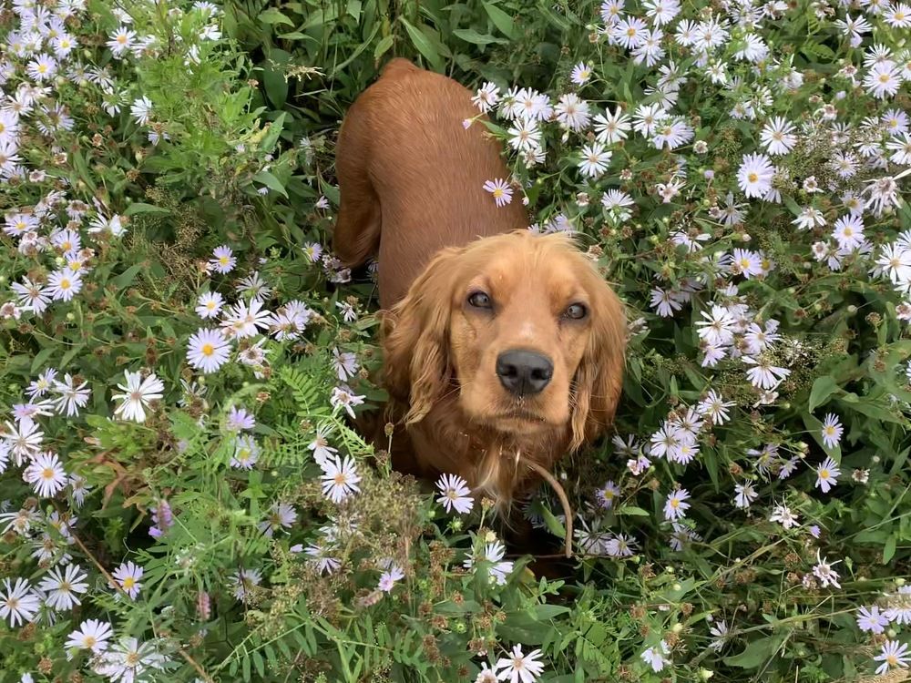 Photograph by Светлана Пономаренко