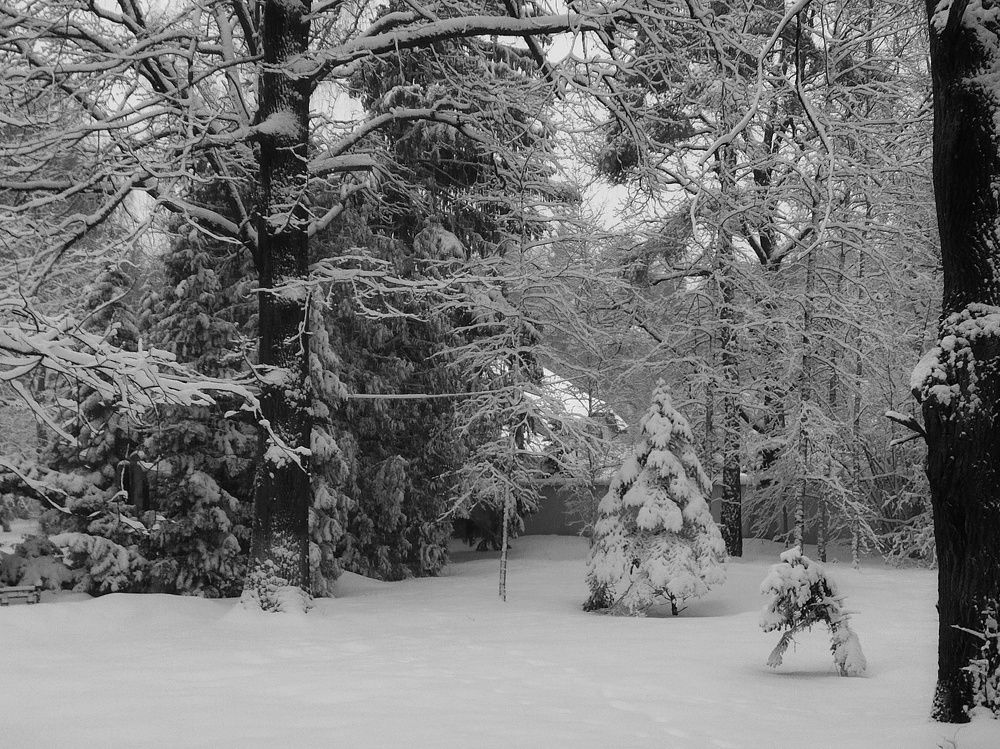 Photograph by Николай