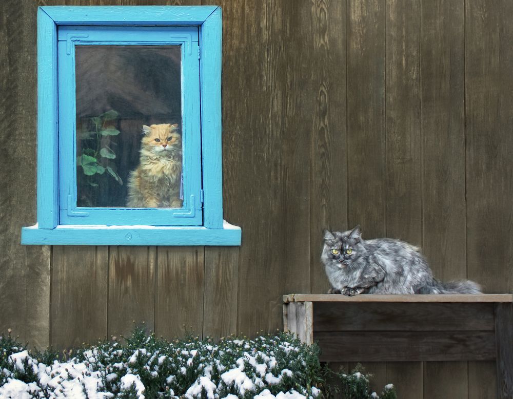 Photograph by Вера Лопатина