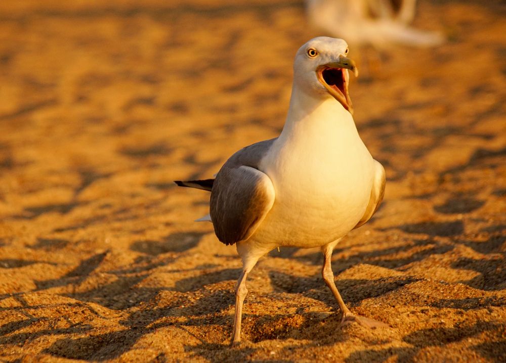 Photograph by Анна Васильева