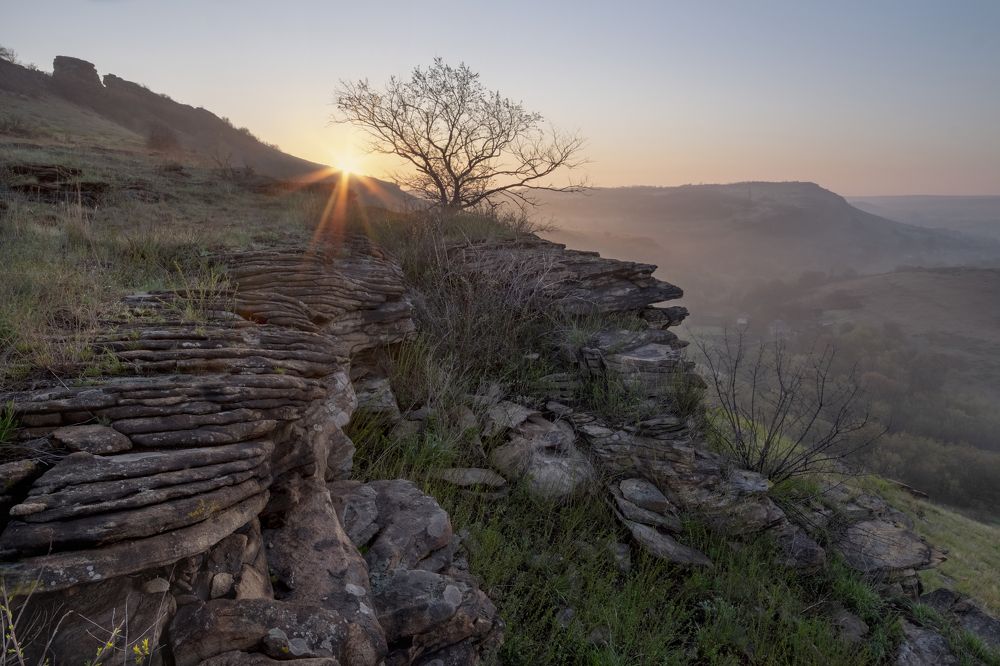 Фотография автора Дитковский Евгений