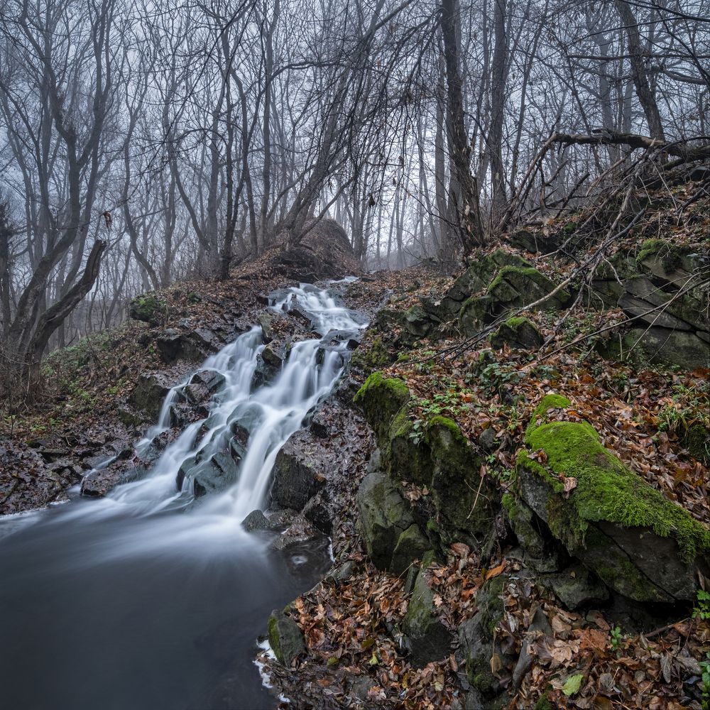 Фотография автора Дитковский Евгений