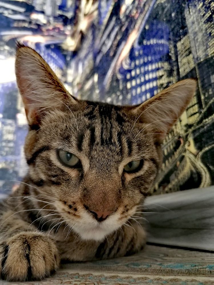 Photograph by Елена Сахарова