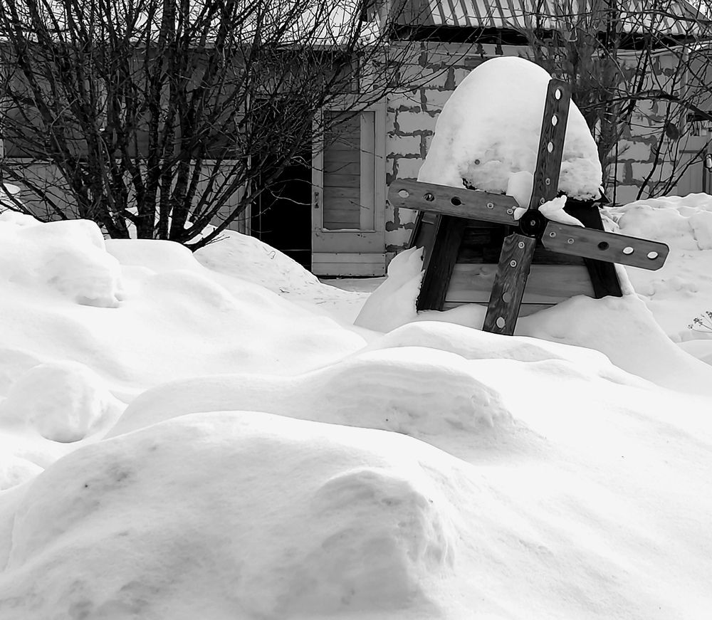 Photograph by Елена Сахарова